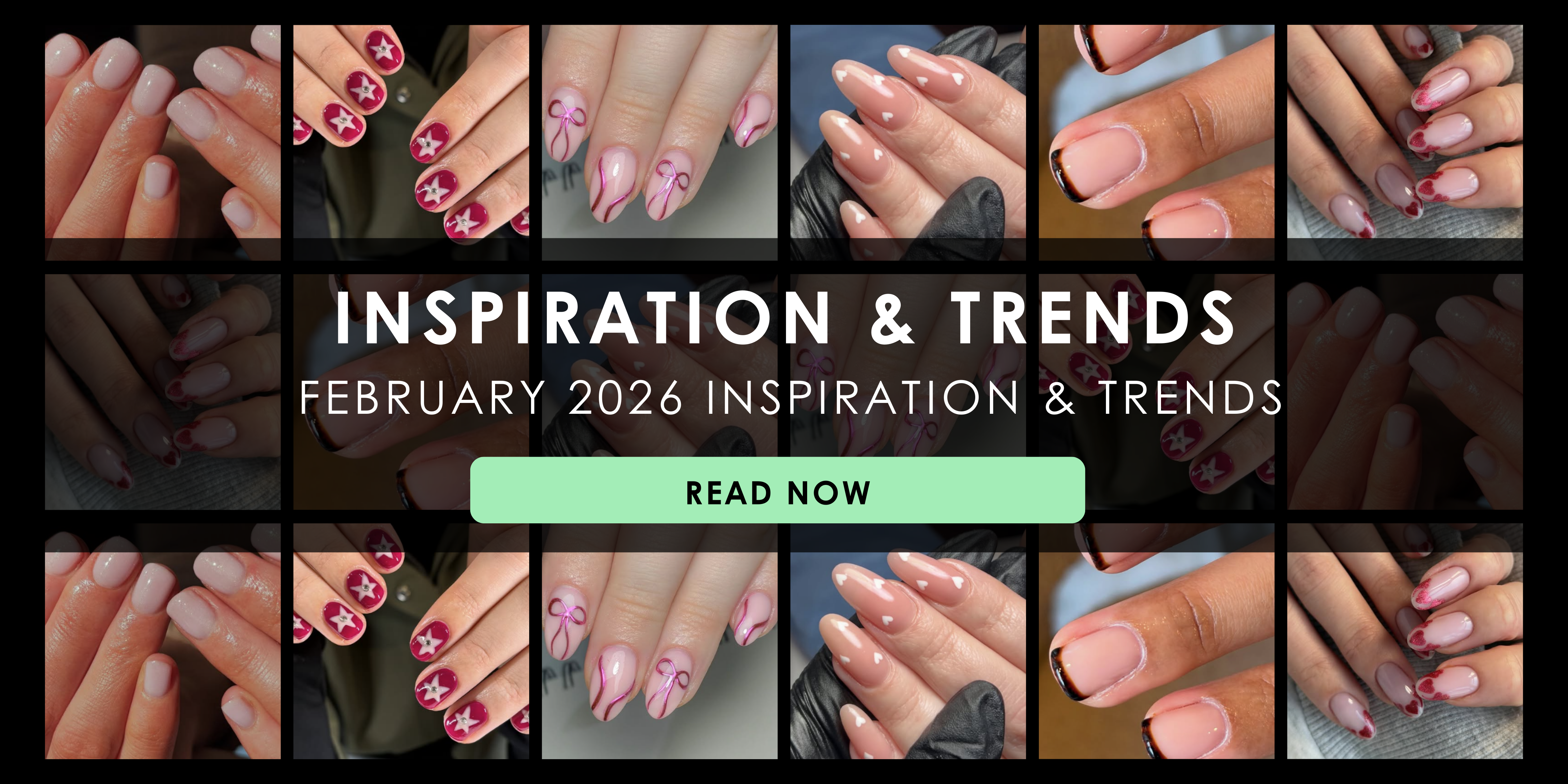 February 2026 Inspiration & Trends