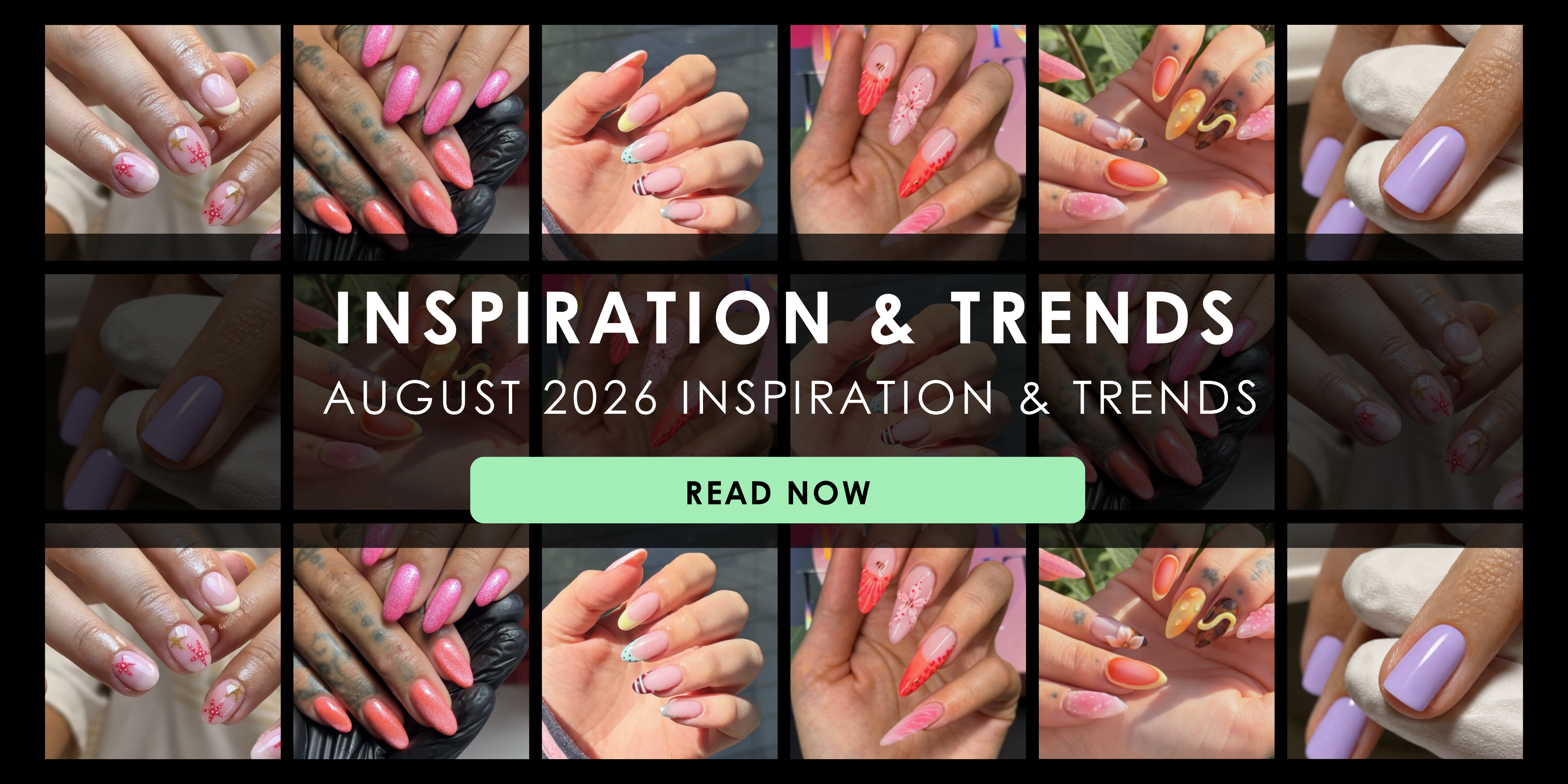August 2026 Inspiration & Trends