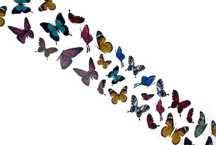 119 - Papel de mariposa de cola de golondrina