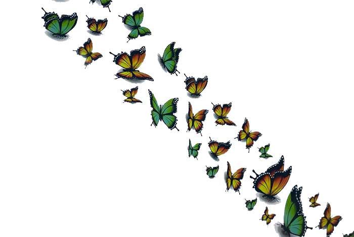 117 - Mariposas brillantes de verano (verde/amarillo)