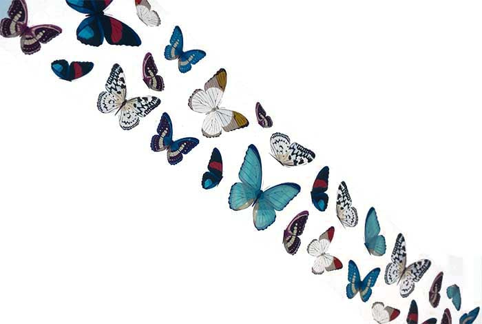 26 - Hoja de mariposa con puntas de colores