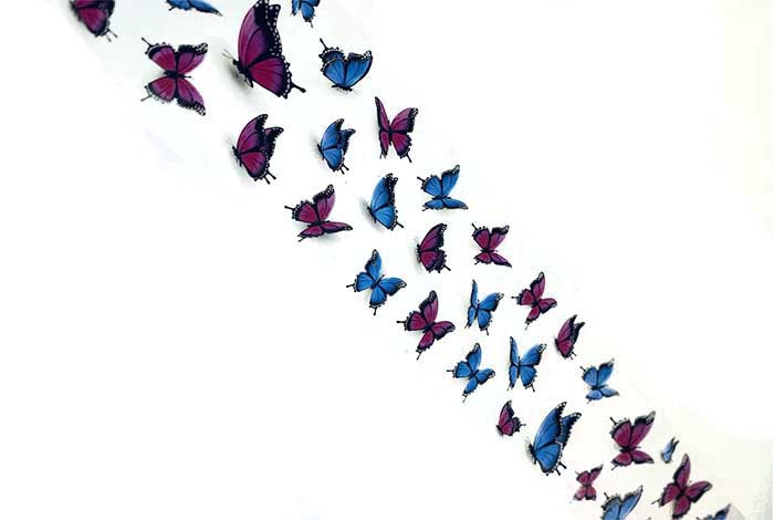 118 - Lámina de mariposa Summer Brights (rosa/azul)