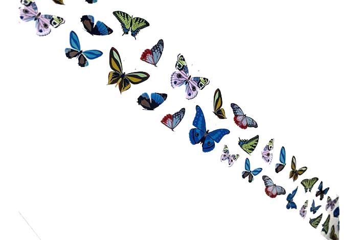 90 - Lámina Mariposa Pavo Real