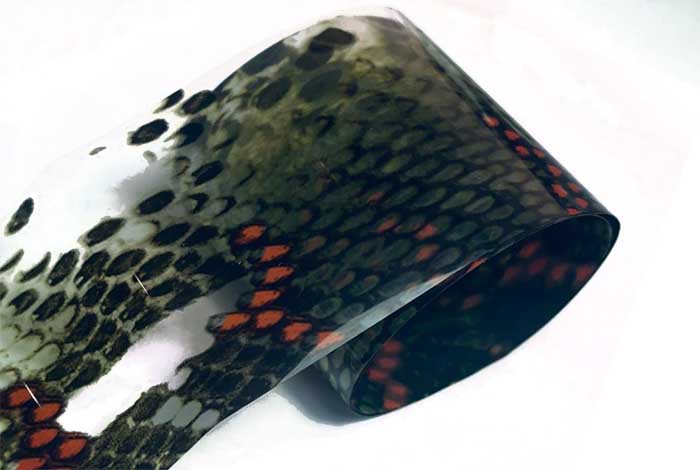 104 - Piel de serpiente transparente realista