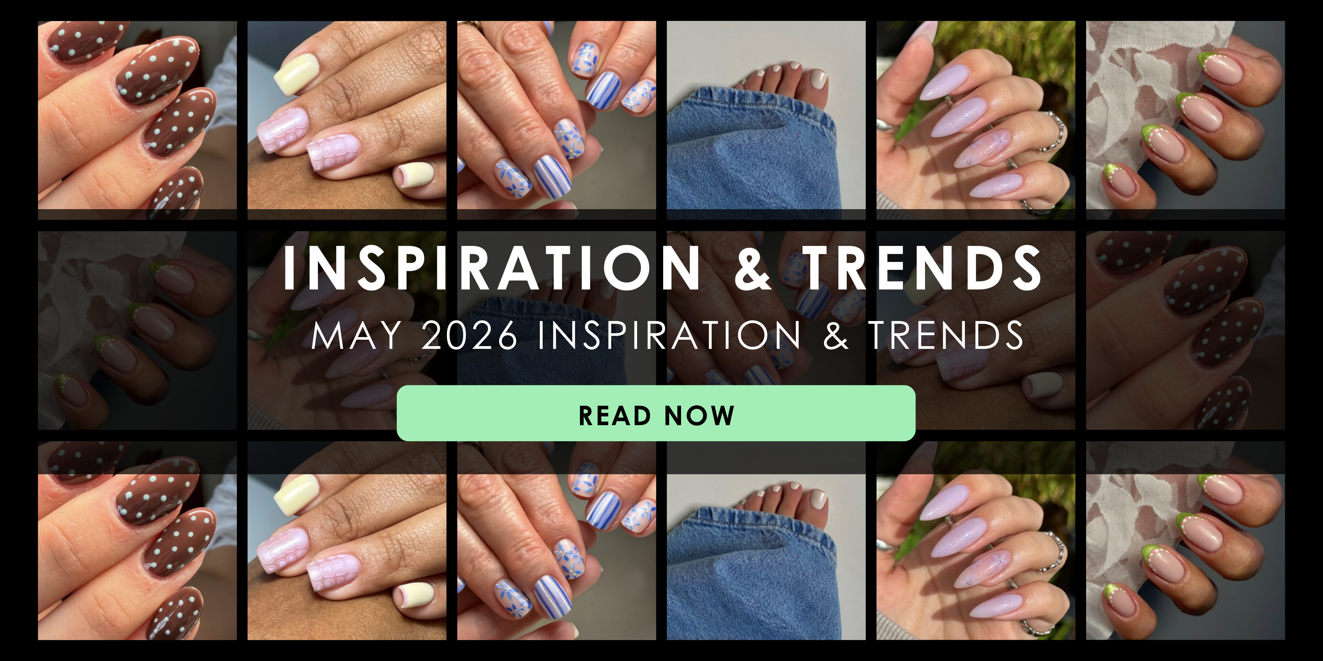 May 2026 Inspiration & Trends