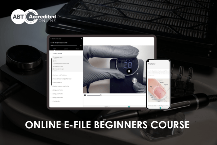 Online E-File Beginners Course