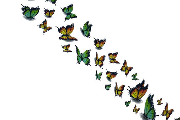117 - Mariposas brillantes de verano (verde/amarillo) 
