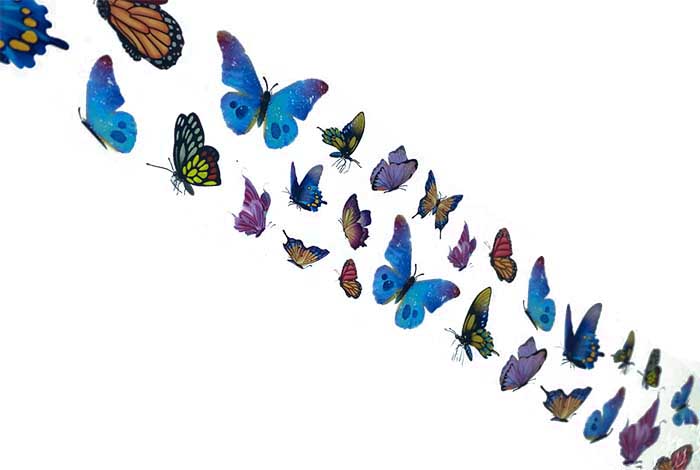 101 - Lámina Mariposa Delicias Arcoíris 