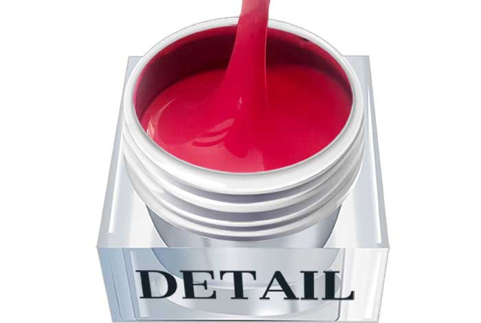 Pintura detallada - Rosa ardiente 